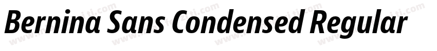 Bernina Sans Condensed Regular字体转换
